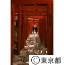 日枝神社の稲荷参道の赤鳥居