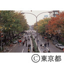 紅葉の始まった表参道の歩行者天国