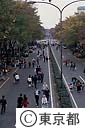 紅葉の始まった表参道の歩行者天国