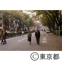 紅葉の始まった表参道の歩行者天国を散歩する老夫婦