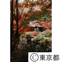 根津美術館の紅葉した日本庭園