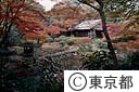 紅葉の根津美術館日本庭園