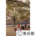 代々木公園で遊ぶ遠足の親子