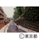 無縁坂を自転車で下る