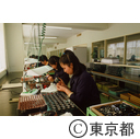 双眼鏡工場で働く従業員