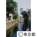 中野区を流れる神田川
