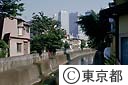 中野区を流れる神田川