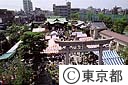 玉姫稲荷で行われる、コンコン市