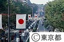 休日の表参道を散歩する人