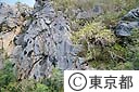 スリバチ山の山腹に残る艦砲射撃の跡