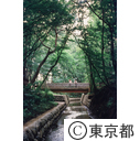 野火止用水、ふれあい橋