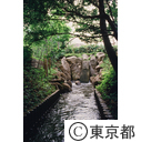 野火止用水の放流口