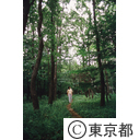 雑木林を散歩する人