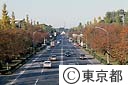 秋の国立大学通り