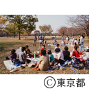 秋の代々木公園で、お弁当を拡げるグループ