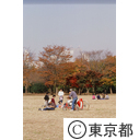 秋の代々木公園で、遊ぶ人たち
