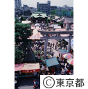 玉姫稲荷の、コンコン市
