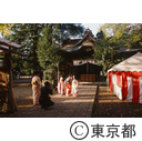 谷保天満宮で、七五三の記念撮影