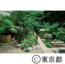 新東京百景、弁天洞窟、遠景
