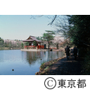石神井公園の三宝寺池