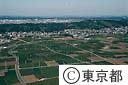 瑞穂のお茶畑（空撮）