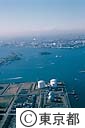 豊洲から台場方面を望む（空撮）