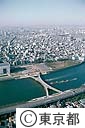 桜橋全景（空撮）