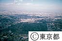 多磨霊園全景（空撮）