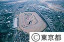 府中競馬場付近（空撮）