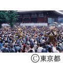 三社祭に集まったおみこし