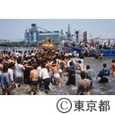 荏原神社のかっぱ祭りで、みこしを海にかつぎ出す人たち