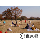 代々木公園の秋