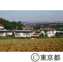町田市内の住宅