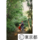 旧鎌倉街道でハイキングする親子