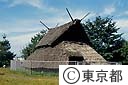 遺跡公園にある、古代住居の模型