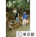 旧鎌倉街道の七国山にある古井戸付近で散歩する婦人