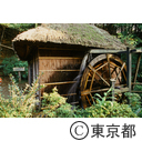 薬師池公園内にある水車