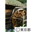 薬師池公園にある水車