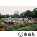 日比谷公園の庭