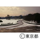 雪の東御苑夕景