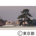 皇居東御苑の旧本丸跡