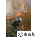 青海２丁目での野焼き