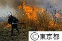１３号地その２での野焼きで、火を付ける職員