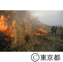 １３号地その２での野焼きで枯草に火をつける職員