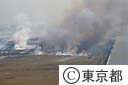 １３号地その２での野焼き