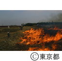 １３号地その２で、野焼きをする職員
