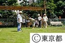 ゲートボールの練習をする高齢者