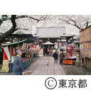 新井薬師