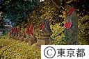 旧鎌倉街道ゆかりの石仏