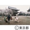 池上本門寺境内で、絵を描く人たち